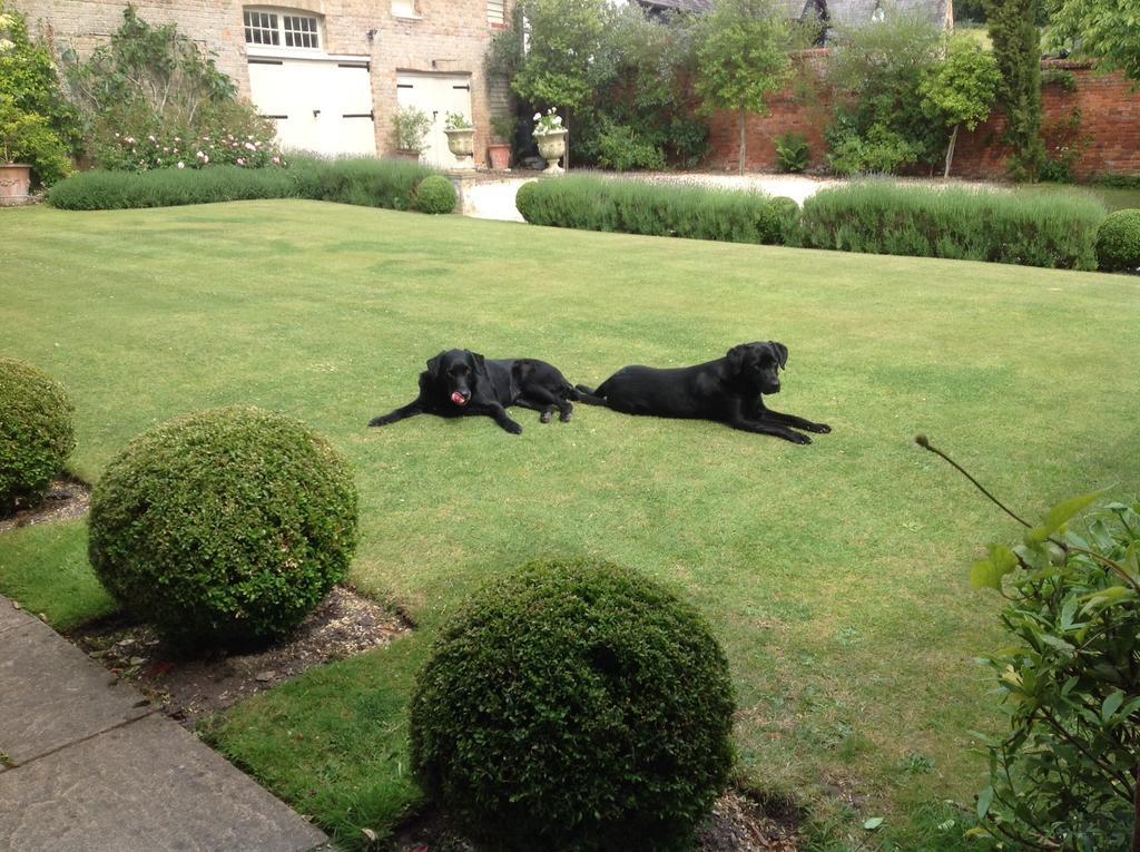 Brunton Farmhouse Hotel Collingbourne Kingston Esterno foto